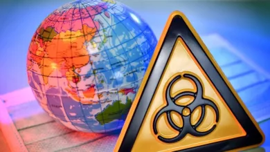 pandemie-viren-influenza-seuchen-100__v-img__16__9__xl_-d31c35f8186ebeb80b0cd843a7c267a0e0c81647
