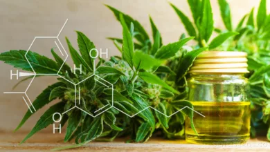 CBD