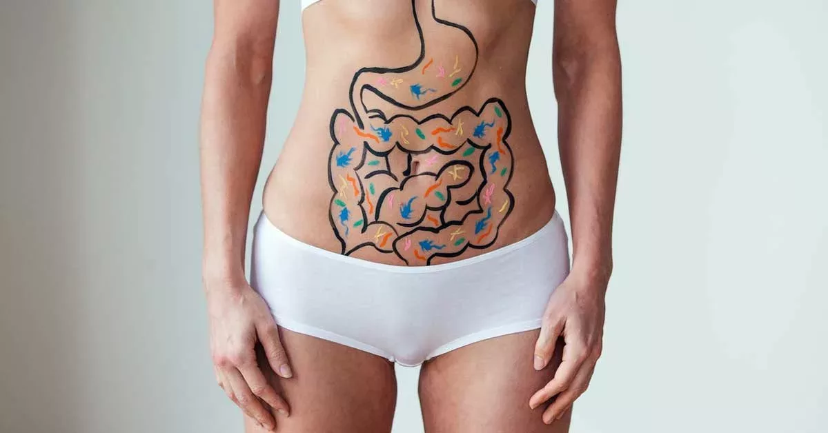 Mega-Studie mit über 400.000 Teilnehmern - Darmbakterien im Zusammenhang mit kardiovaskulären & weiteren Gesundheitszuständen