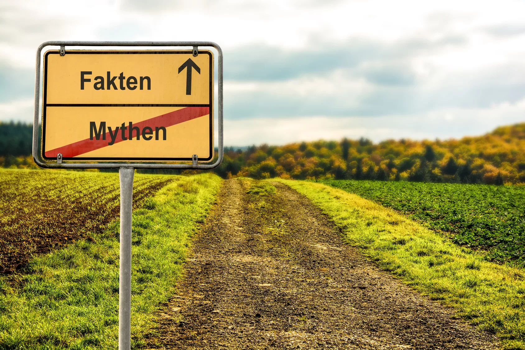 10 verbreitete Mythen über Heilpraktiker &amp; Naturheilkunde