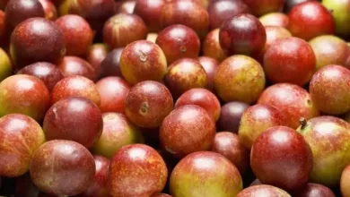 Camu-Camu