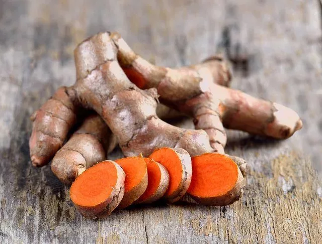 Curcumin fördert das Magen-Darm-, Herz-Kreislauf- und Immunsystem + Anbau-Tipps