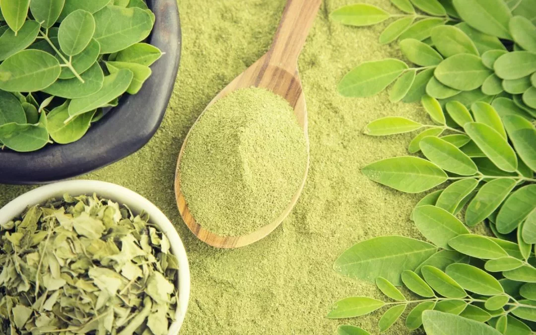 Moringa hilft gegen Angstzustande, Anämie, Bronchitis und mehr + Anwendungstipps [Ayurveda]