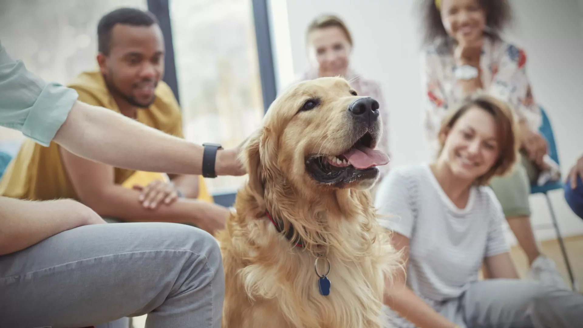 Therapeutische Vorteile von Haustieren wissenschaftlich belegt
