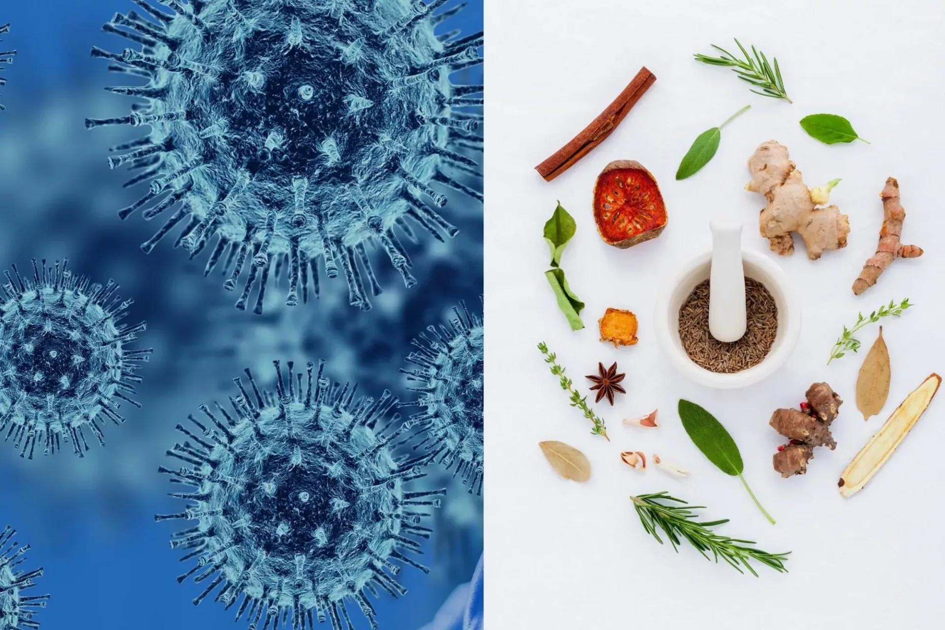 Naturheilkunde Corona - Erstaunliche Möglichkeiten mit Naturheilmitteln