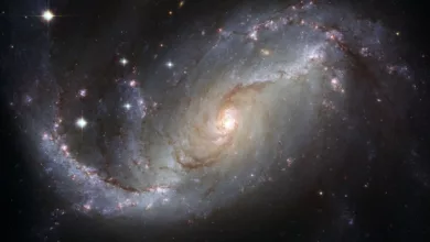 Balancieren-Sie-das-Feuerelement-in-Ihrem-Sternzeichen