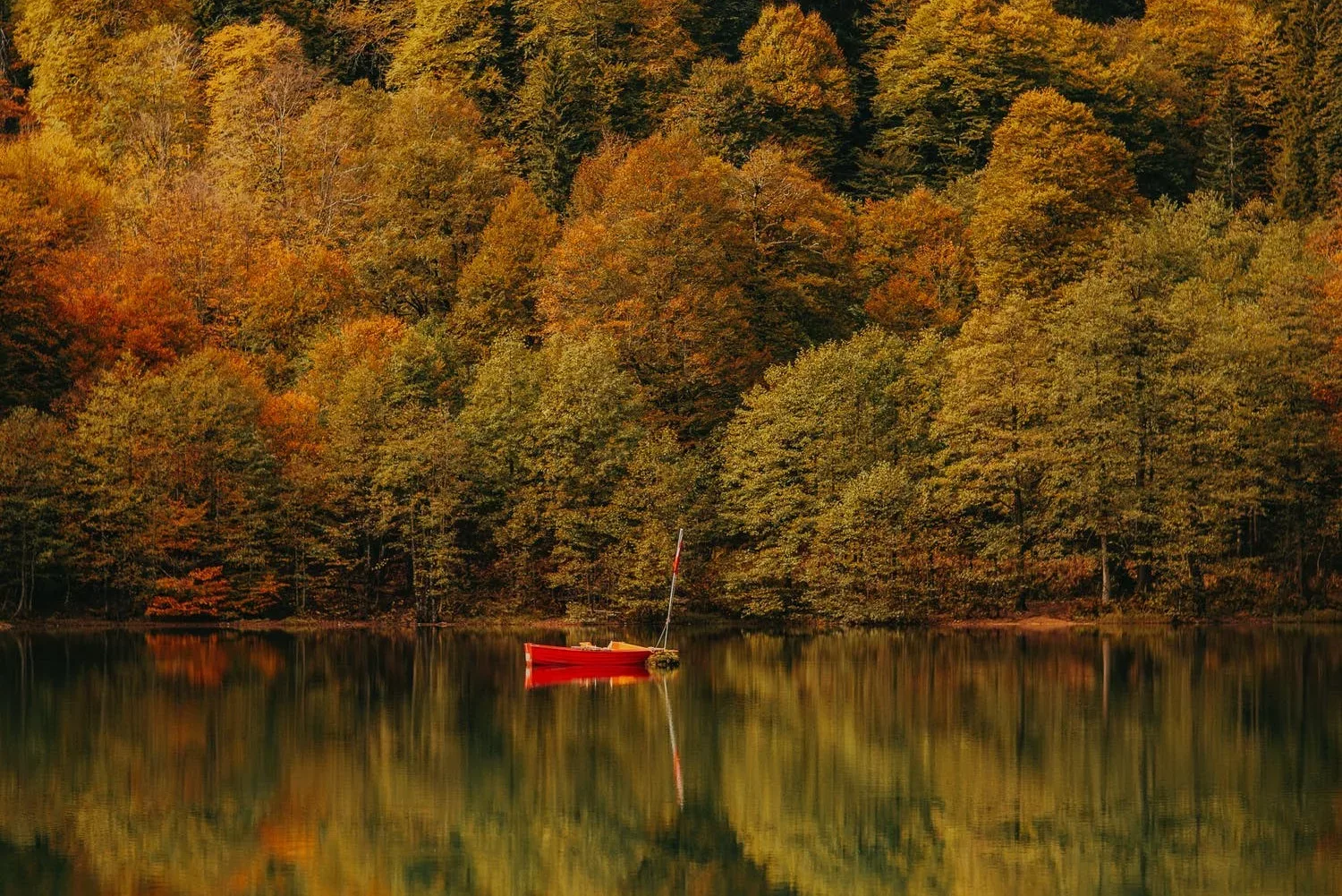 Saisonale Achtsamkeit: Der Herbst ist die Zeit des Loslassens