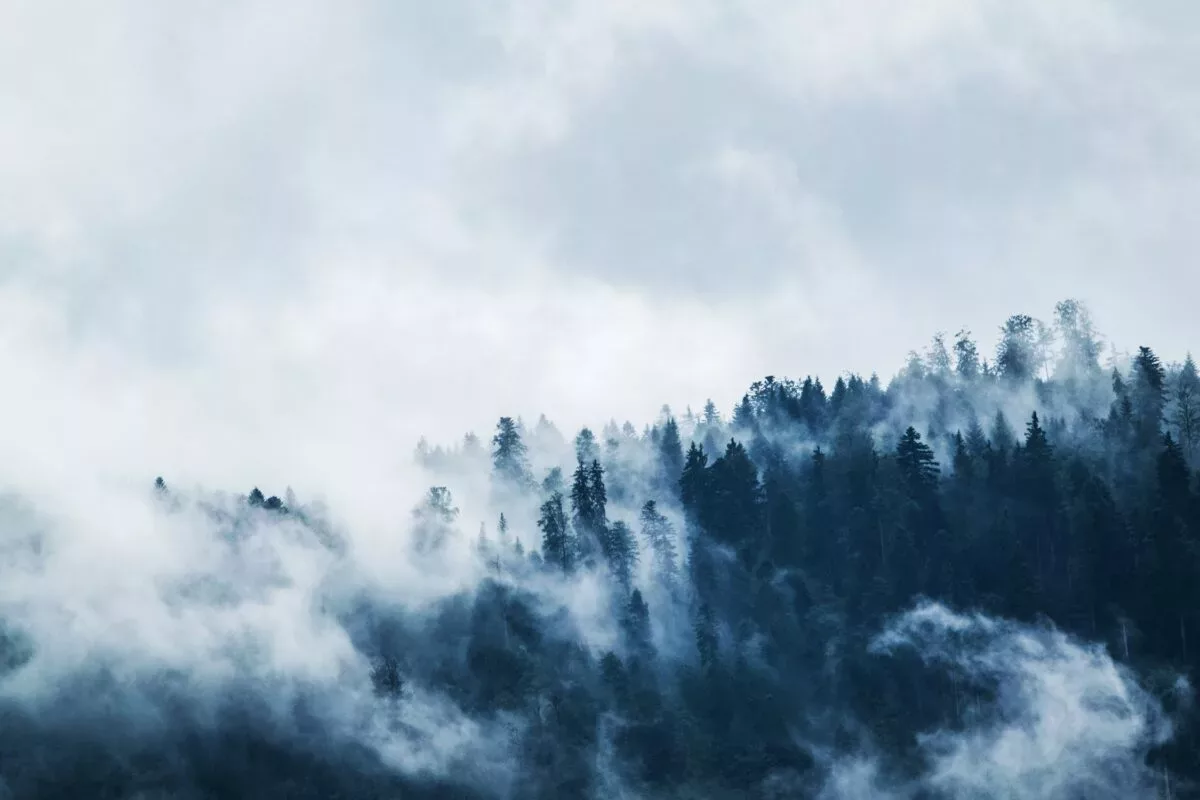 Saisonale Achtsamkeit: Der Winter ist die Zeit der Introspektion
