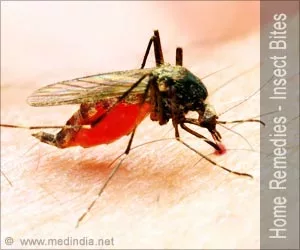 Hausmittel gegen Insektenstiche
