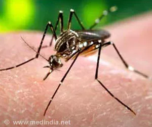 Hausmittel für MALARIA