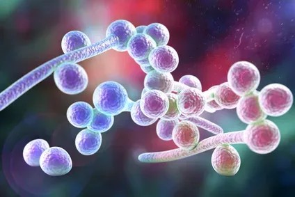 10 unglaubliche Hausmittel gegen Candidose, die Sie kennen sollten