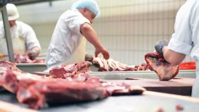 Groesster-Schweinefleischproduzent-in-den-USA-ist-jetzt-im-Besitz-eines