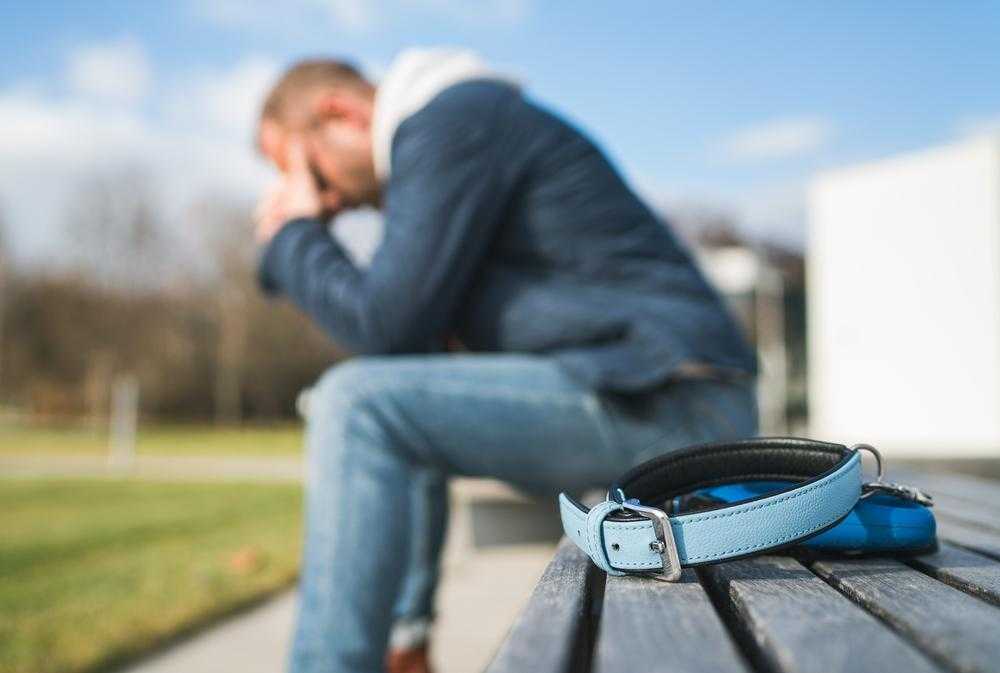 Der Tod eines Haustieres sollte von Beratern ernster genommen werden