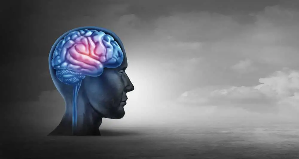 Der Stanford-Neurowissenschaftler erklärt: Tun Sie dies jeden Tag, um Ihr Gehirn von traumatischen Ereignissen zu heilen
