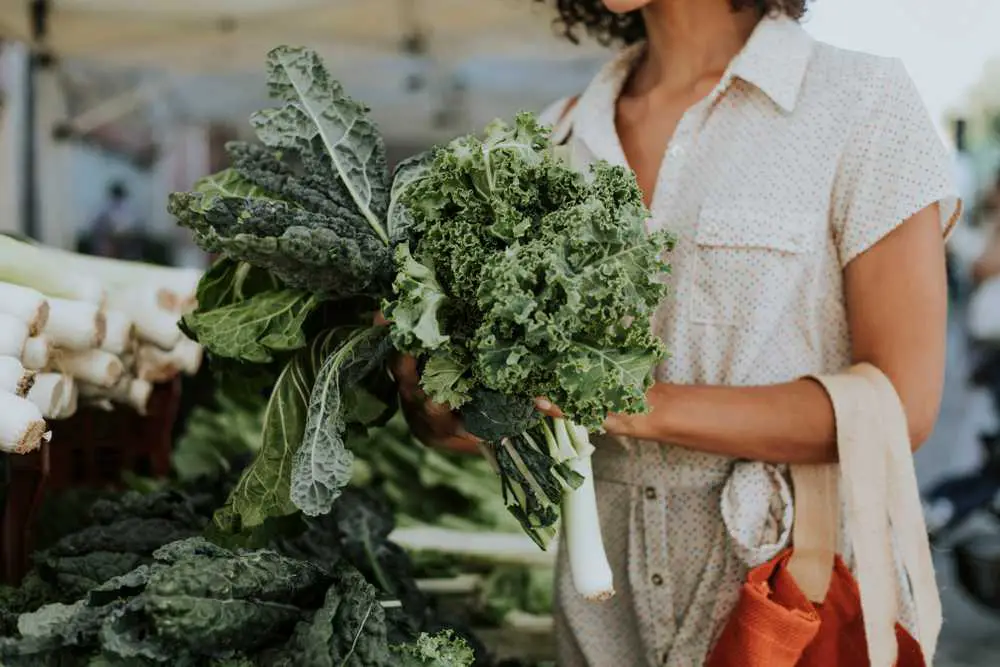 Grünkohl ist kein Superfood mehr – er verursacht Verdauungsprobleme, Nierensteine ​​und mehr