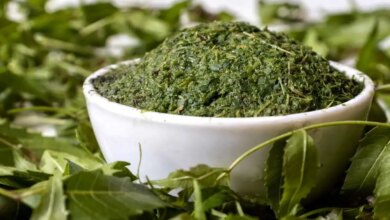 1688045814_Dieses-im-Ayurveda-weit-verbreitete-Kraut-hat-zahlreiche-gesundheitliche-Vorteile