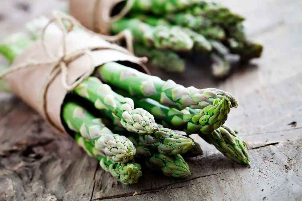 Spargel als Katermittel?