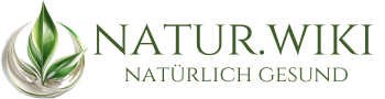 Nachrichten AG Logo