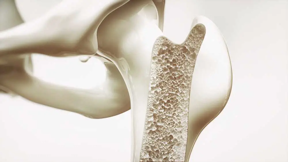 The hidden nutrient that is crucial for magnesium, vitamin D, and calcium absorption is vitamin K2. Vitamin K2 is a lesser-known form of vitamin K that plays a critical role in ensuring that calcium is properly utilized in the body.
When we consume calcium-rich foods or supplements, our body needs vitamin K2 to direct the calcium to the right places. Vitamin K2 activates certain proteins that help transport calcium from the bloodstream to the bones and teeth, where it is needed for proper mineralization. This process prevents calcium from accumulating in the arteries or soft tissues, reducing the risk of cardiovascular diseases and other health issues.
Vitamin K2 also aids in the absorption of other minerals like magnesium and vitamin D. Magnesium is essential for over 300 enzymatic reactions in the body, including muscle and nerve function, energy production, and bone health. Vitamin K2 helps ensure that magnesium is utilized effectively by activating enzymes involved in magnesium metabolism.
Moreover, vitamin D is important for calcium absorption and utilization. Vitamin K2 works in synergy with vitamin D by activating proteins that regulate calcium metabolism, ensuring that calcium is directed to the bones and teeth rather than accumulating in other tissues.
While vitamin K1, found in leafy greens like spinach and kale, is important for blood clotting, vitamin K2 is predominantly found in animal products and fermented foods. Sources high in vitamin K2 include natto (fermented soybeans), fermented cheeses like Gouda and Brie, egg yolks, liver, and grass-fed dairy products.
In conclusion, vitamin K2 is a hidden nutrient that plays a crucial role in the absorption and utilization of magnesium, vitamin D, and calcium. Including vitamin K2-rich foods in your diet can help ensure proper mineralization, reduce the risk of cardiovascular diseases, and optimize overall health.