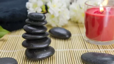 Ayurveda-fuer-Tiere-Grundlagen-und-Therapien