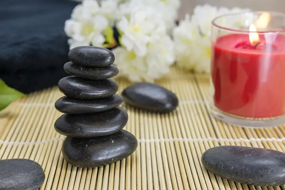 Ayurveda für Tiere: Grundlagen und Therapien