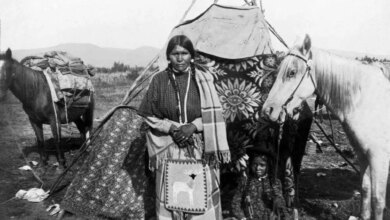 Die-Heilkraft-der-Natur-Native-Amerikanische-Pflanzen-als-innovative-Gesundheitsloesungen