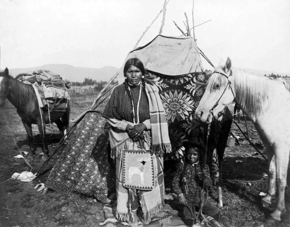 Die Heilkraft der Natur: Native Amerikanische Pflanzen als innovative Gesundheitslösungen