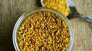 Heilmittel-aus-der-Bienenkunde-Propolis-Honig-und-mehr