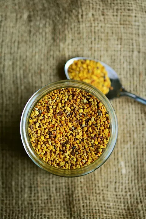 Heilmittel aus der Bienenkunde: Propolis Honig und mehr