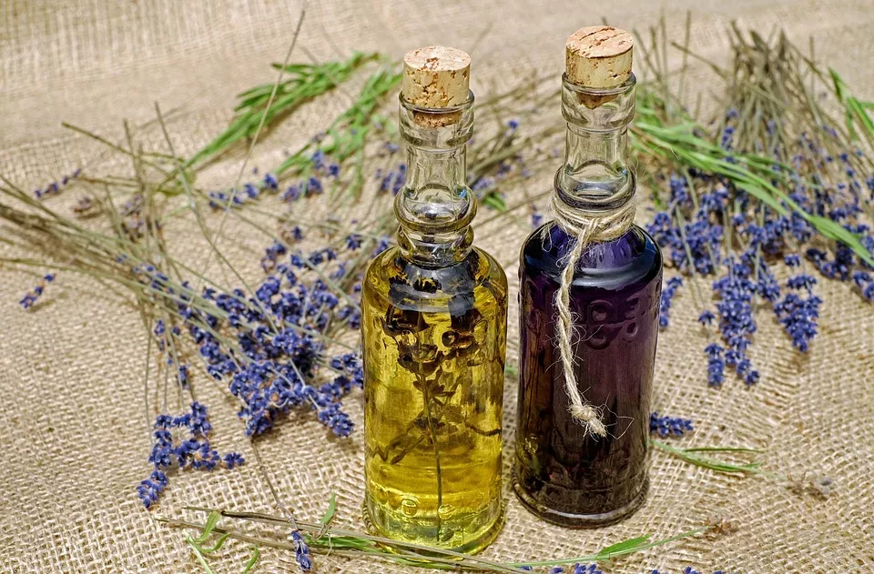 Homöopathie bei Haustieren: Eine Einführung