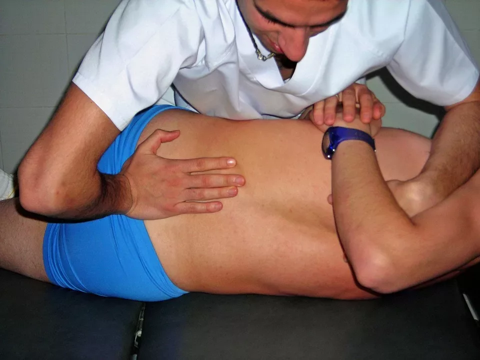 Osteopathie in der Tiermedizin: Eine Praxisanleitung