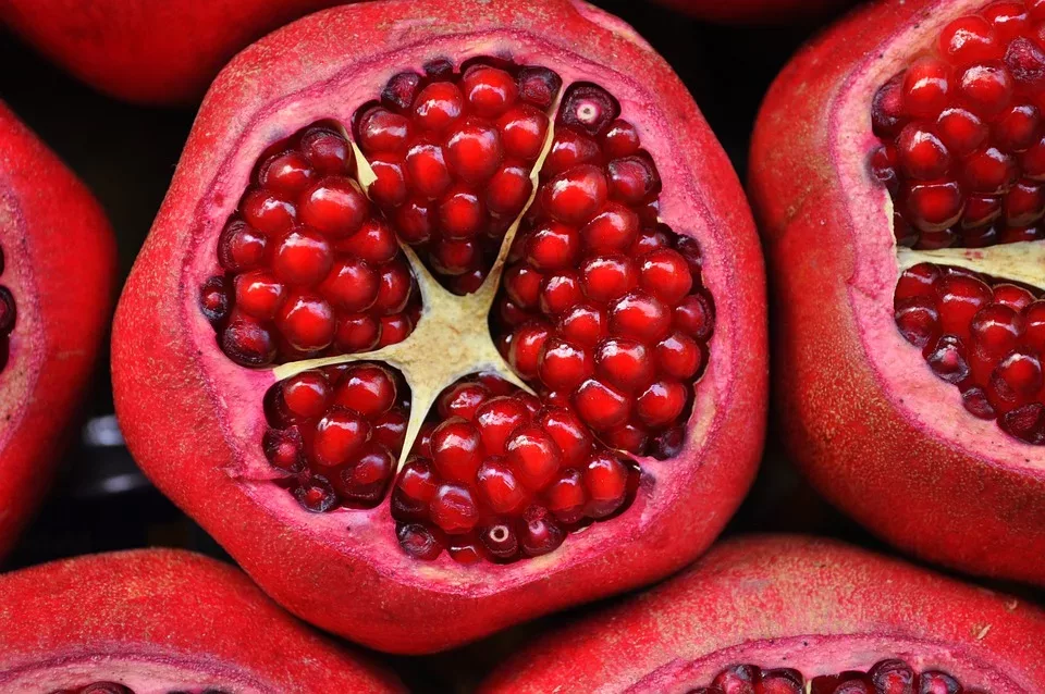 Vitamine und Mineralien: Ein umfassender Leitfaden