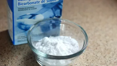 Die-Alkalische-Diaet-Fakten-und-Fiktion