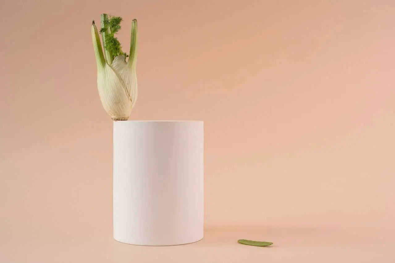 Die vielseitigen gesundheitlichen Vorteile von Fenchel: Erhaltung der Sehkraft, Verdauungsunterstützung, hormonelles Gleichgewicht und mehr.