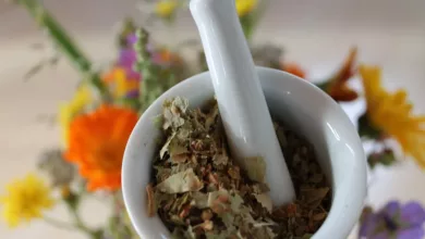 Homoeopathische-Behandlungen-fuer-Tierallergien