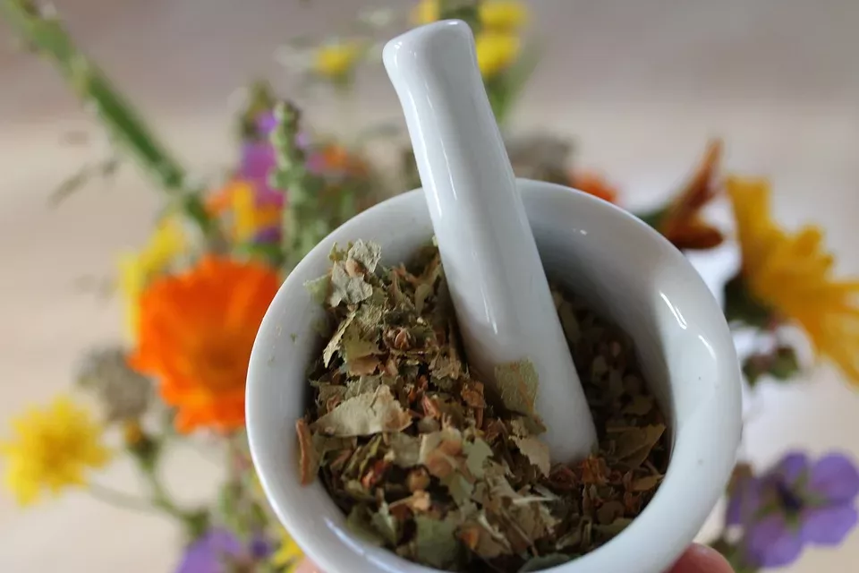 Homöopathische Behandlungen für Tierallergien