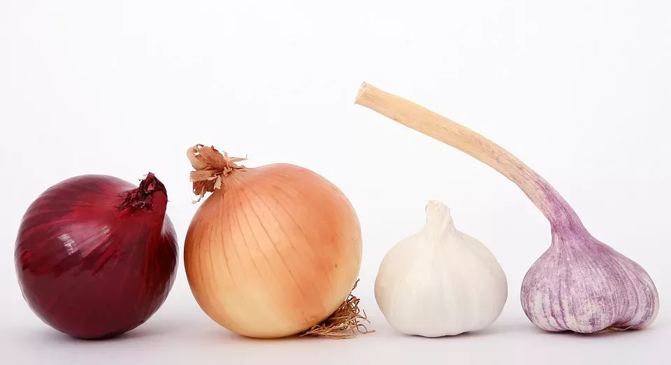 Kräuter in der Schwangerschaft und Stillzeit