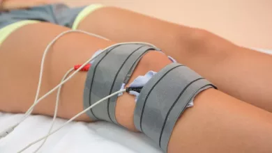 Physiotherapie-fuer-Tiere-Techniken-und-Anwendungen