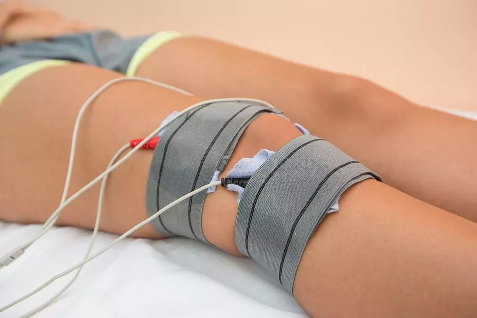 Physiotherapie für Tiere: Techniken und Anwendungen