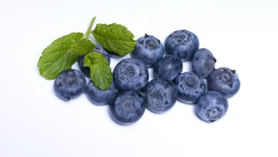 Superfoods-Marketing-Hype-oder-Gesundheits-Boost