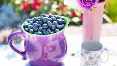 Vitamin-E-als-natuerliches-Antioxidans-Was-ist-dran