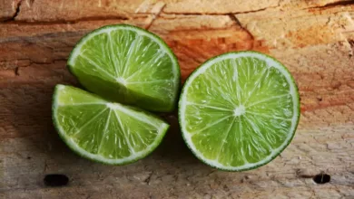 Vitamin-K2-und-Knochengesundheit-Der-fehlende-Link
