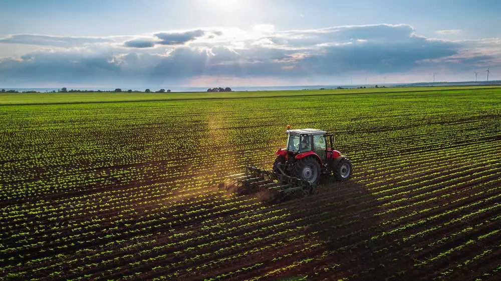 Willkommen in der Zukunft der Landwirtschaft, wo alte Probleme wie hartnäckige Unkräuter auf bahnbrechende Lösungen wie den LaserWeeder treffen. Diese bahnbrechende agrartechnologische Innovation, entwickelt von Carbon Robotics, nutzt die eindrucksvolle Kraft von Laser und Robotik. Dieser Artikel nimmt Sie mit auf eine Reise durch diese bemerkenswerte Innovation, untersucht ihre Fähigkeiten, die Feinheiten ihrer Technologie und ihr Potenzial, die Landwirtschaft zu revolutionieren.