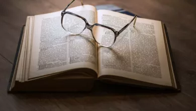Wissenschaftliche-Forschung-zu-Heilpflanzen