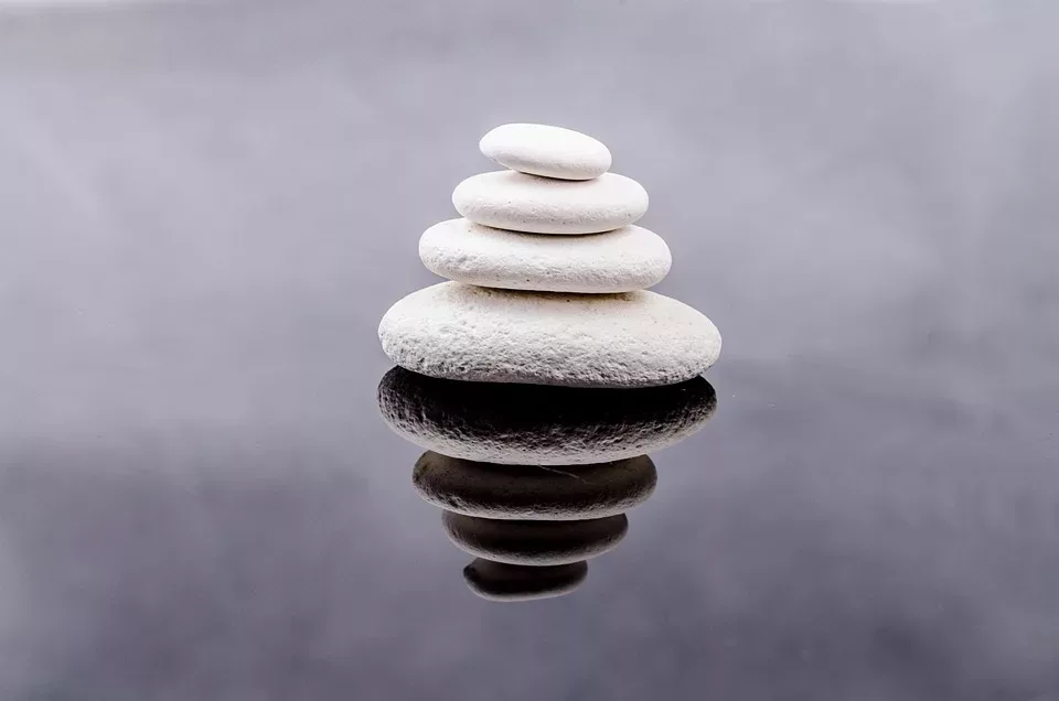 Alternative Therapie für verhaltensauffällige Haustiere
