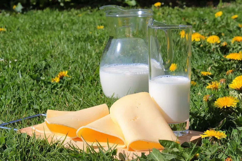 Calcium und Osteoporose: Ein Leitfaden