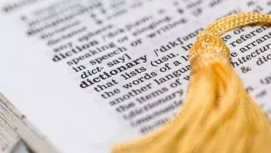 Die-Bedeutung-des-Begriffs-Korrelation-fuer-Laien-Neue-Studie