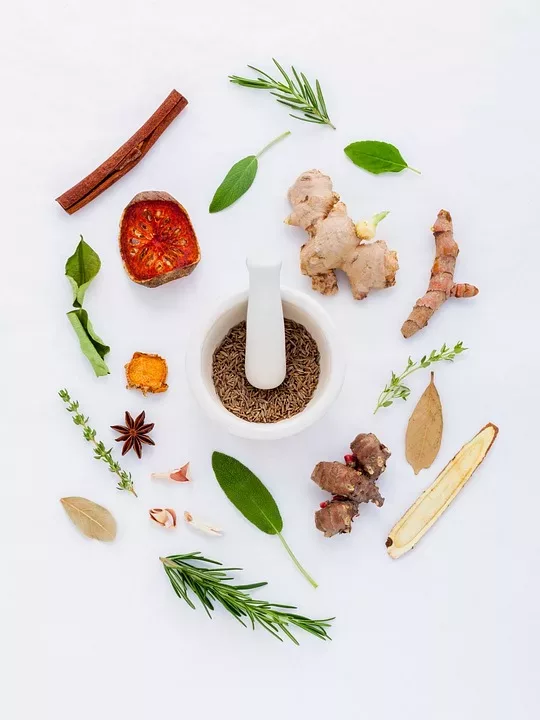 Die Wissenschaft hinter Colostrum und Immunität