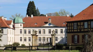 Essen-und-Stimmung-Der-Zusammenhang