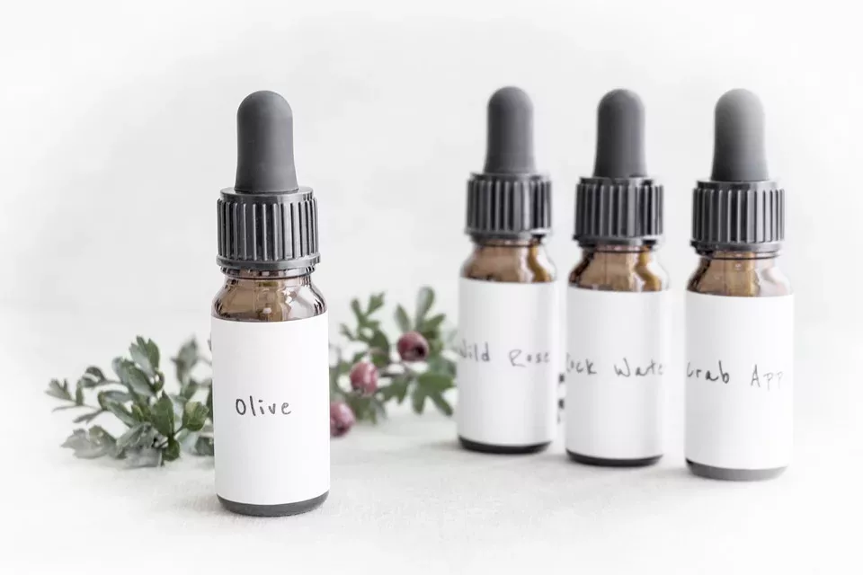 Homöopathische Erste Hilfe für Haustiere